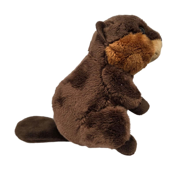 Canned Beaver