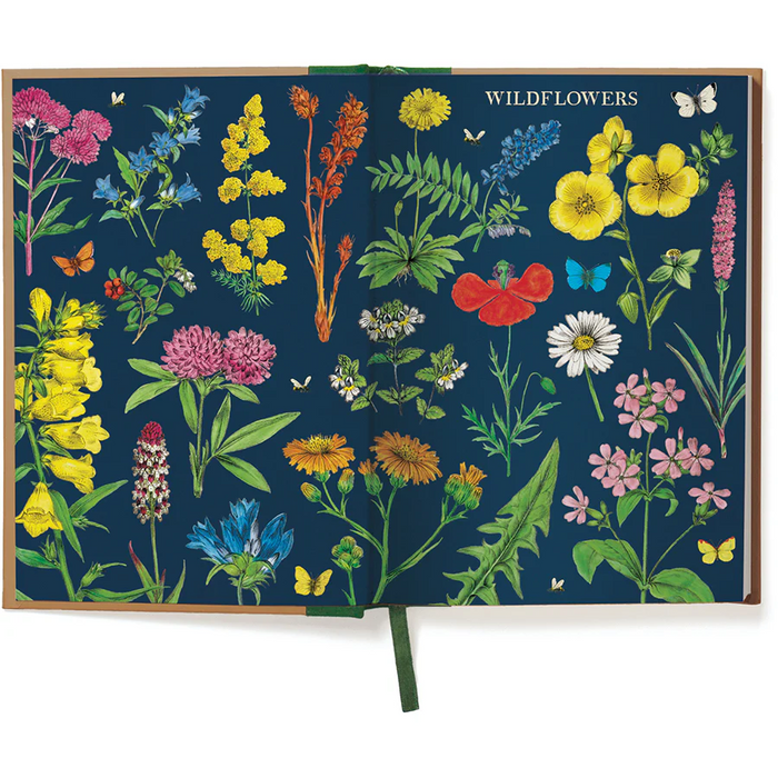 Wildflower Window Journal