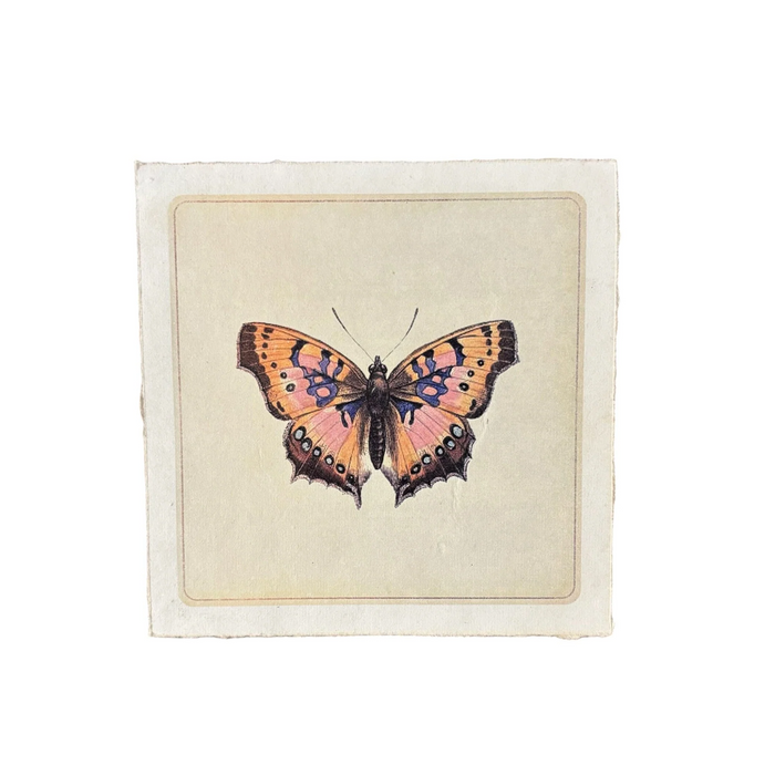 8"x8" Butterfly Print
