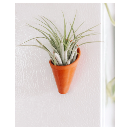 Tiny Ceramic Magnet Planter