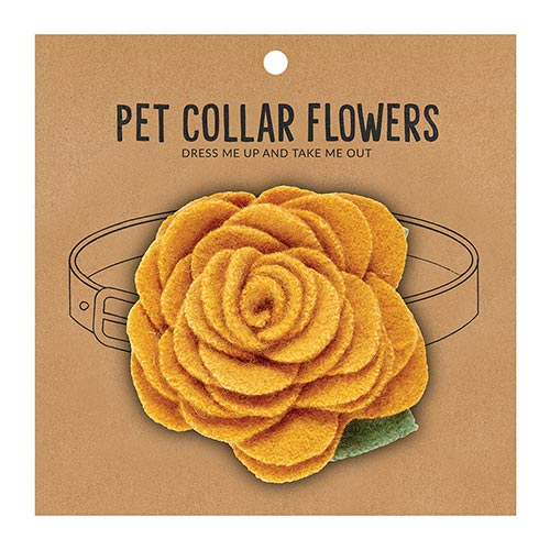 Pet Collar Flower