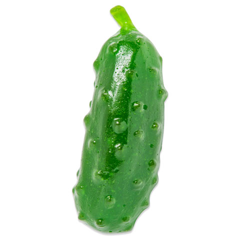 Giant Gummy Pickle