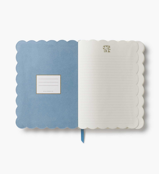Inside of a notebook with a scalloped edge, one blue page and one white,  on a white background
