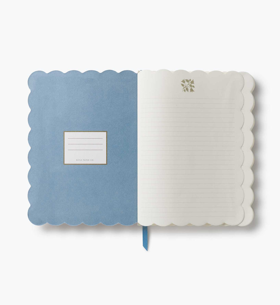 Inside of a notebook with a scalloped edge, one blue page and one white,  on a white background
