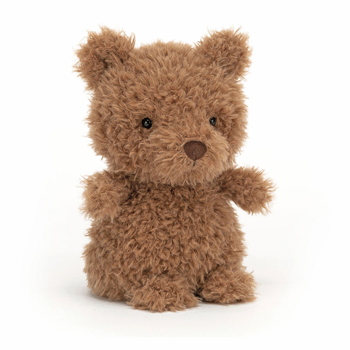 Brown teddy bear on a white background