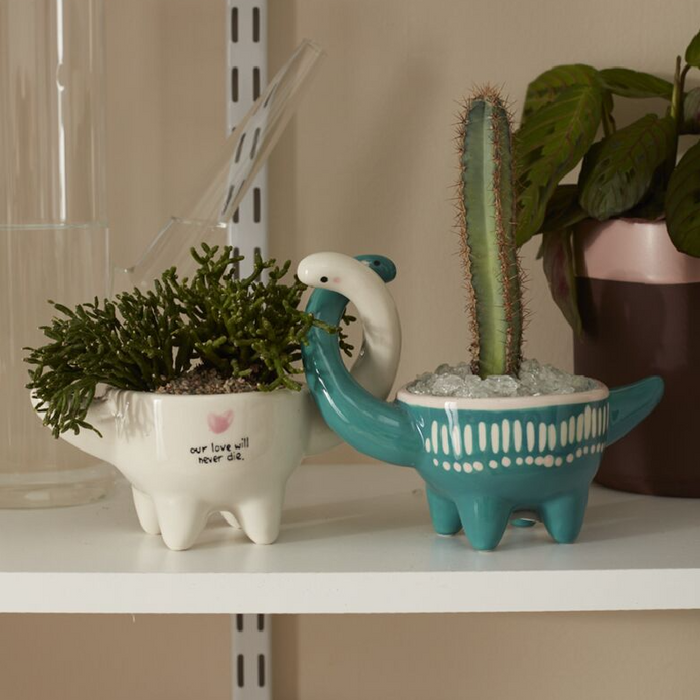 Dino Love Pots - Set of Two