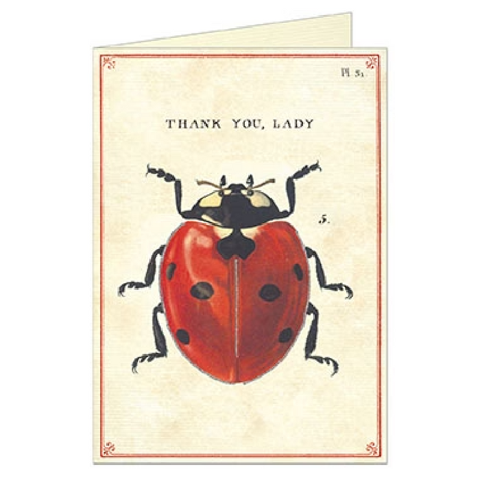 Thank You, Lady Card