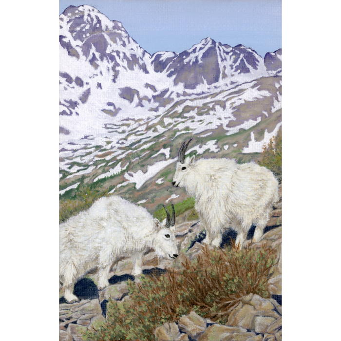 Mountain Goats