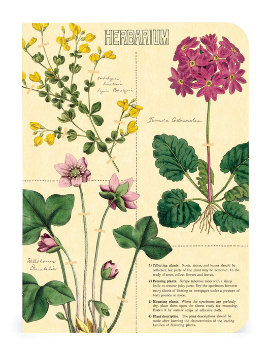 Herbarium Mini Notebook Set