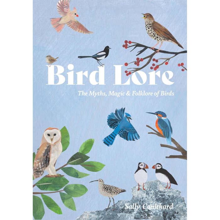 Bird Lore: The Myths, Folklore and Meaning of Birds