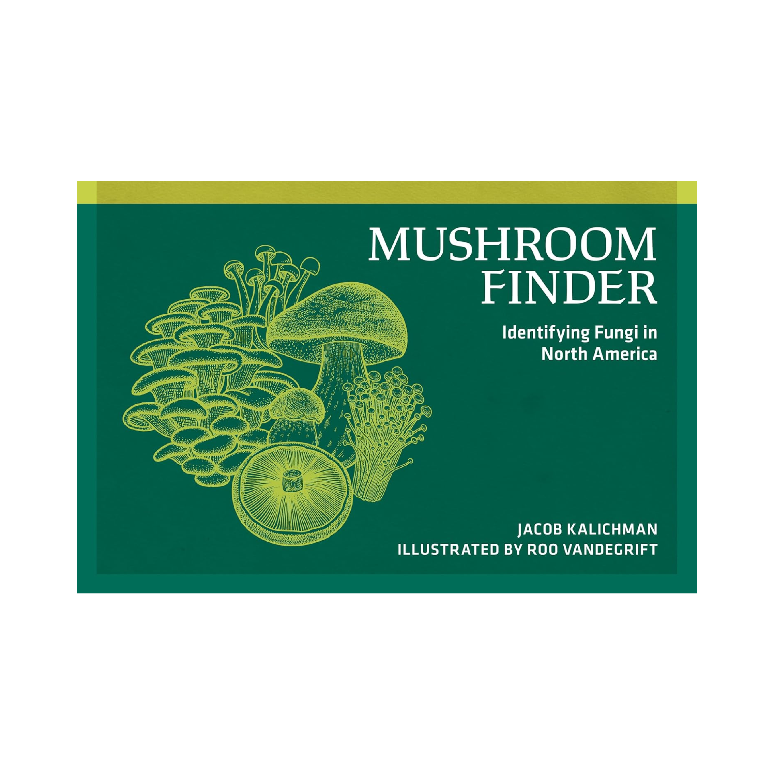 Book cover of 'Mushroom Finder' with illustrations of mushrooms on a green background