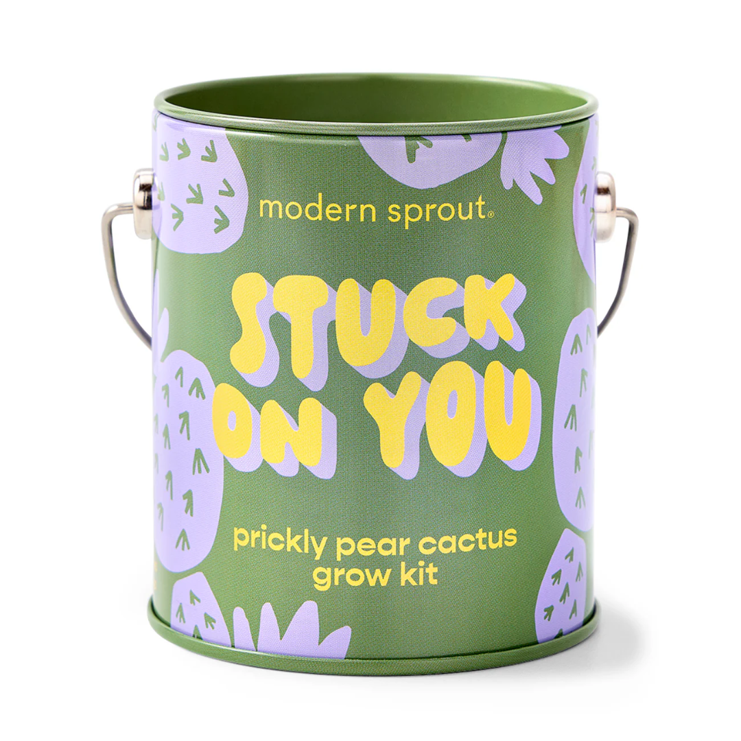Green container with 'modern sprout' branding and text for a prickly pear cactus grow kit.