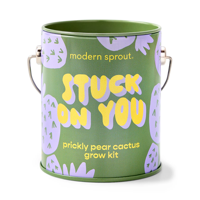 Green container with 'modern sprout' branding and text for a prickly pear cactus grow kit.