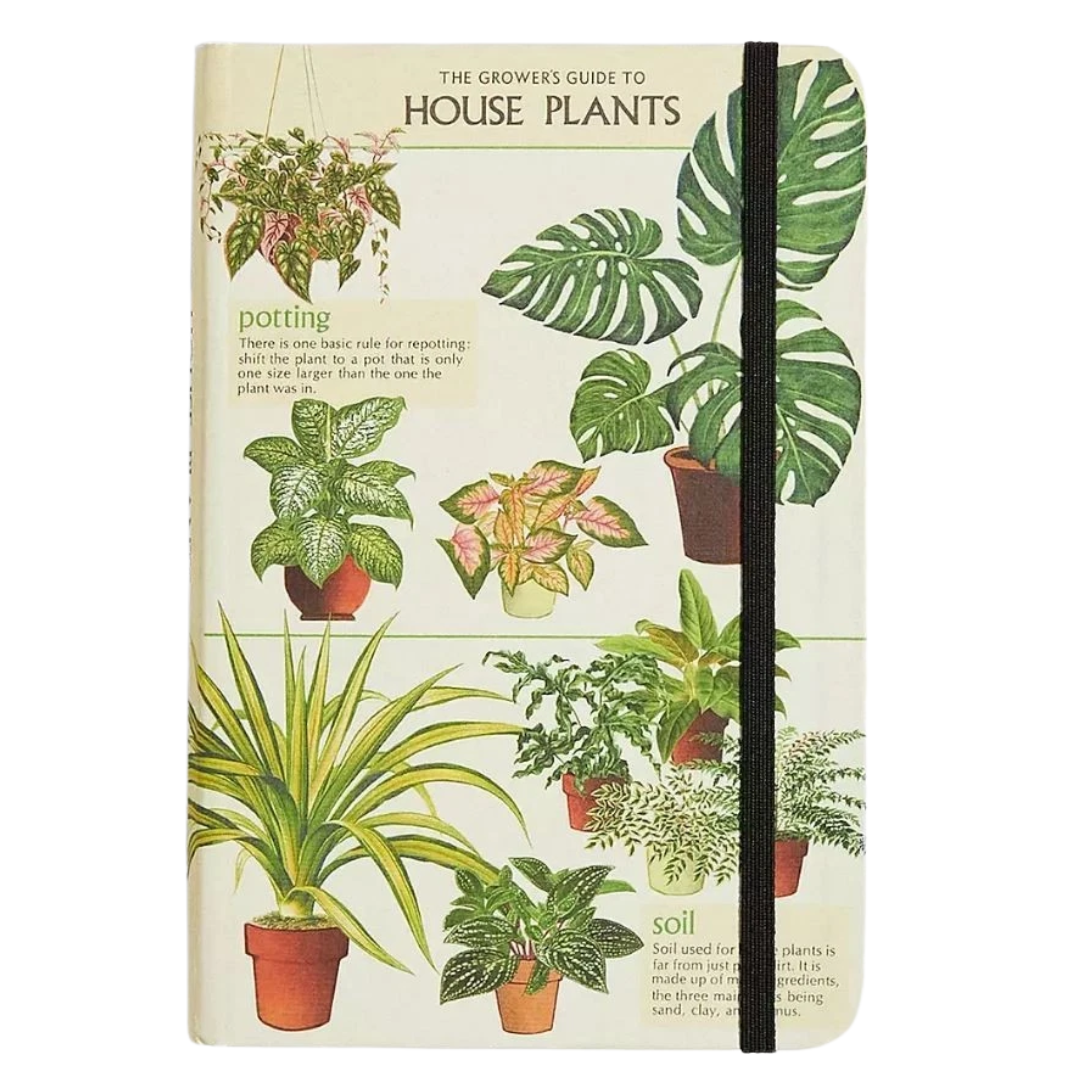 Notebook cover with illustrations of house plants and text on a white background