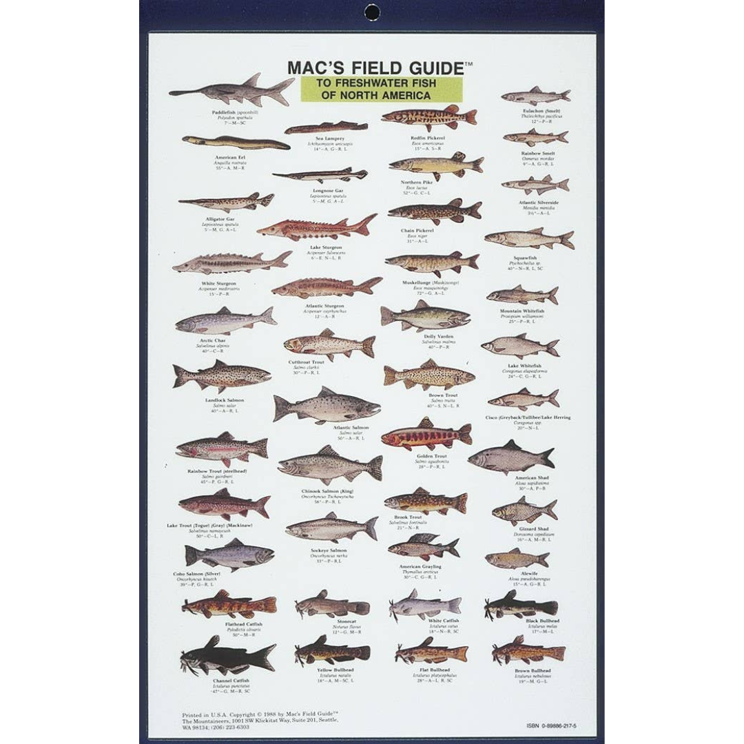 Mac's Field Guide to Freshwater Fish of North America on a white background