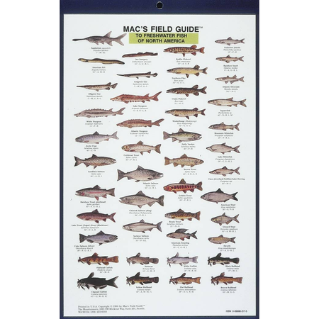Mac's Field Guide to Freshwater Fish of North America on a white background