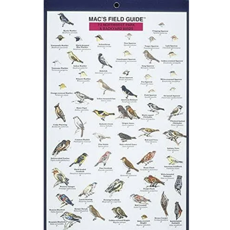 Bird identification chart titled 'Mac's Field Guide' on a white background