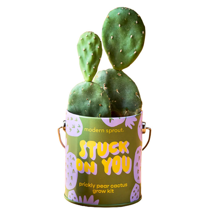 Stuck On You - Cactus Grow Kit