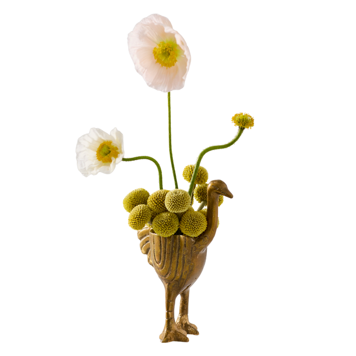 Ostrich Pot