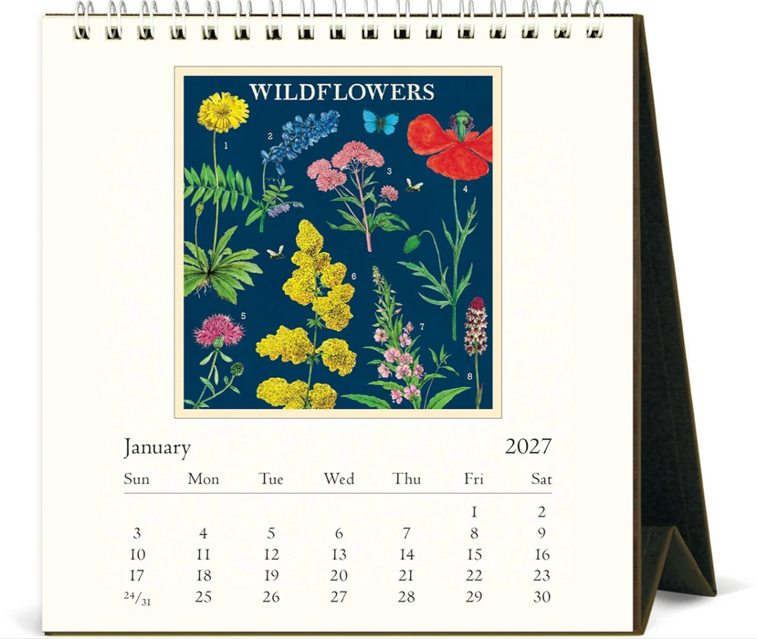 2027 Desk Calendar - Wildflowers