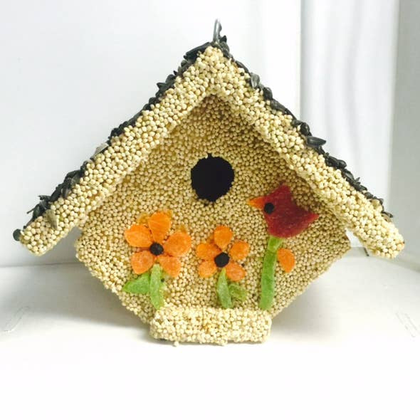 Spring Fruit Casita Bird House