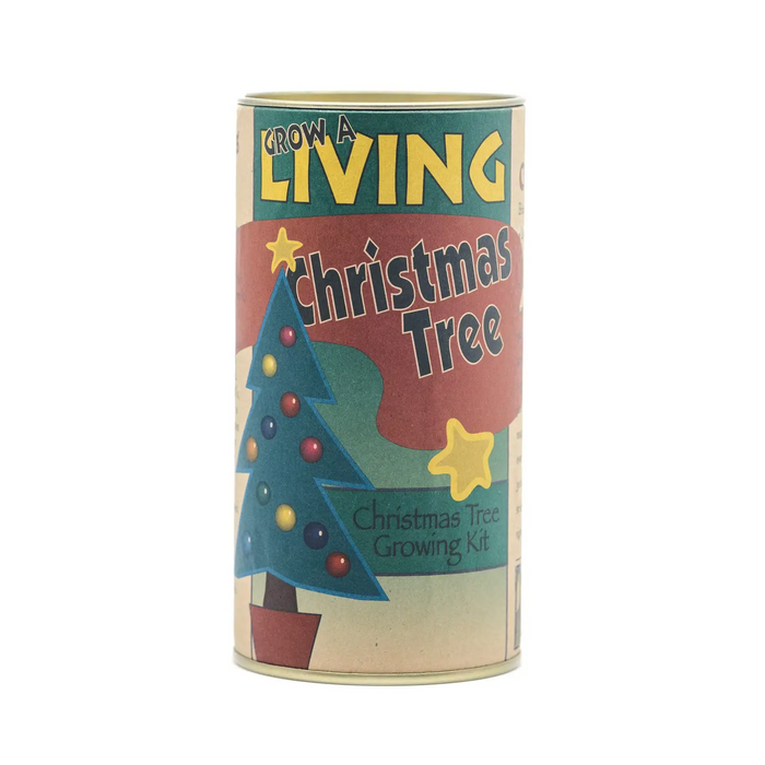Living Christmas Tree | Seed Grow Kit