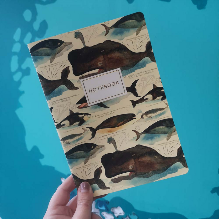 Fauna Notebooks