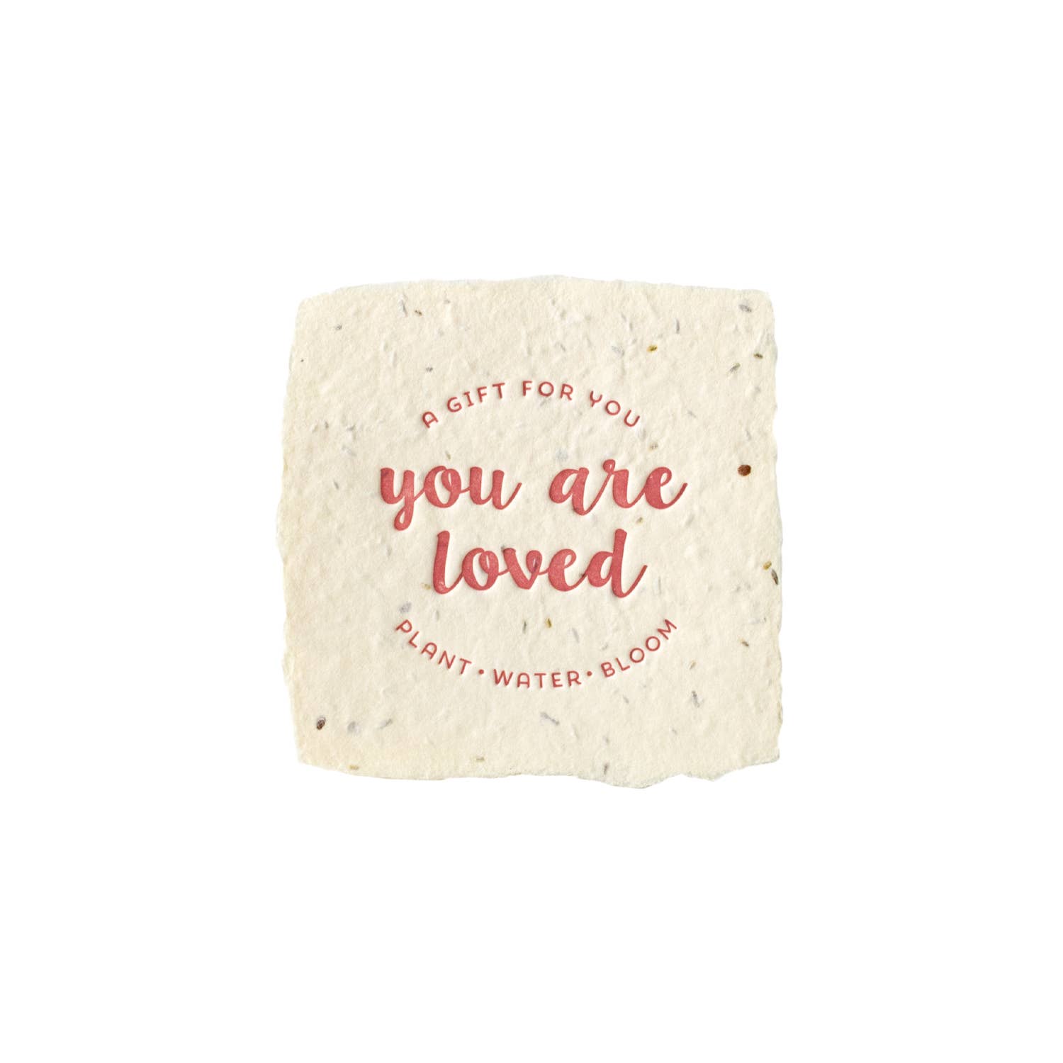 Seed paper square with 'You are loved' text on a white background