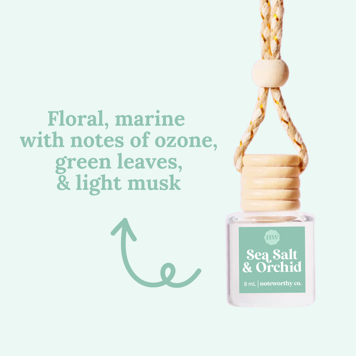 Noteworthy Car Diffusers