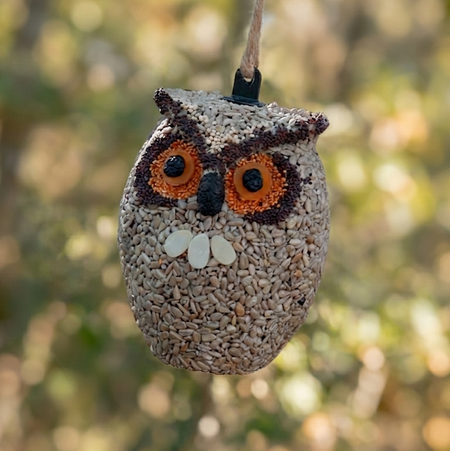 A hanging owl-shaped bird feeder made from seed and shell pieces, with large orange and black eyes, photographed outdoors against a blurred green and brown background.