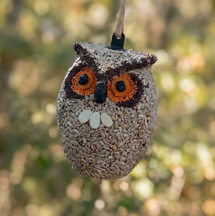 Whoo-lio Owl