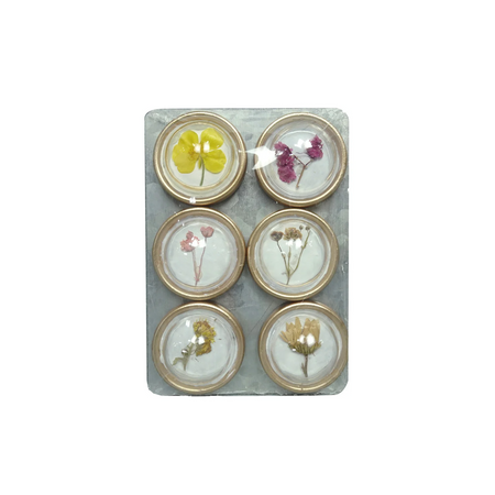 Set of six round pressed flower coasters in a decorative holder on a white background