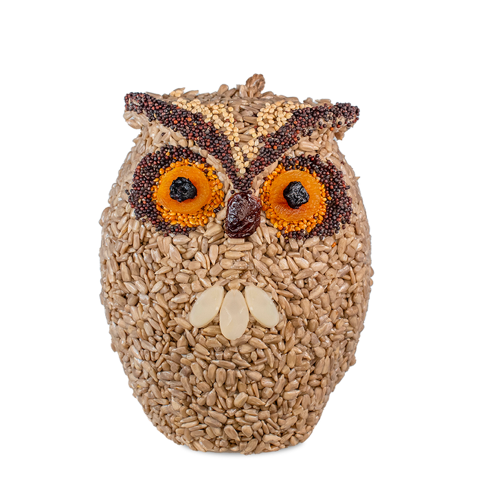 Whoo-lio Owl