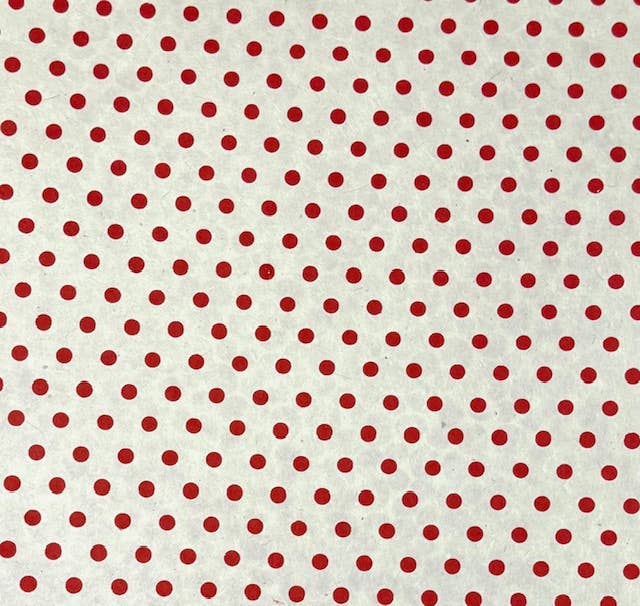 20x30 Circles,