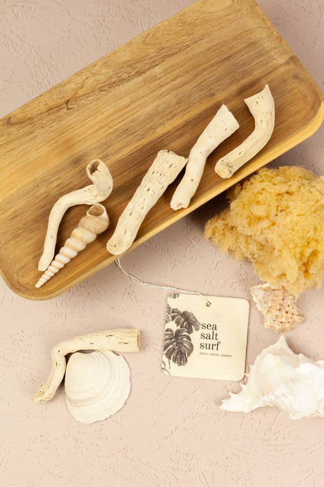 Sea Salt Surf Car Freshener