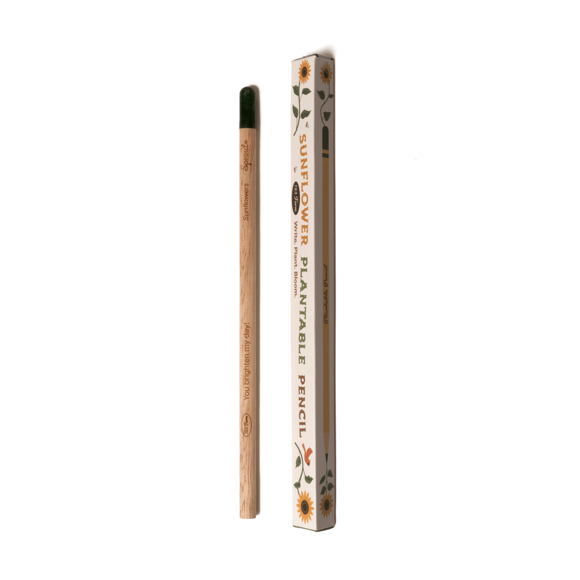Sunflower plantable pencil with packaging on a white background
