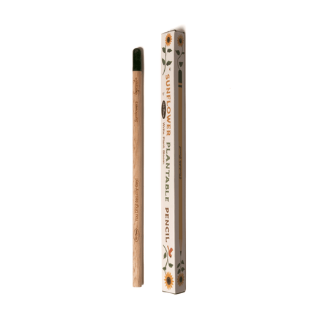 Sunflower plantable pencil with packaging on a white background