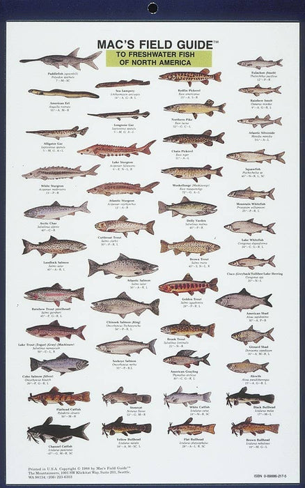 Mac's Field Guides: North American Freshwater Fish