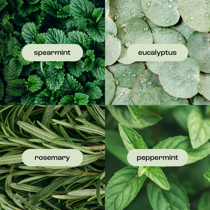 Eucalyptus Rosemary Mint Body + Face Dry Oil