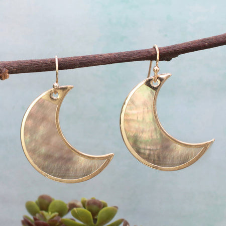 A pair of crescent moon-shaped earrings with iridescent mother-of-pearl inlays and gold-toned metal borders, hanging from a dark brown branch against a soft light blue background with a small succulent at the bottom.