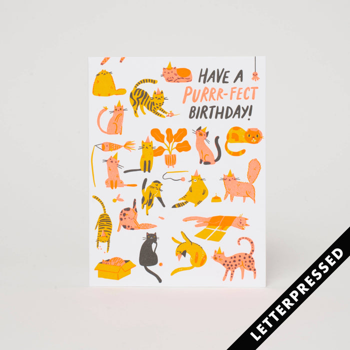 HELLO! LUCKY -- Purr-fect Birthday Card