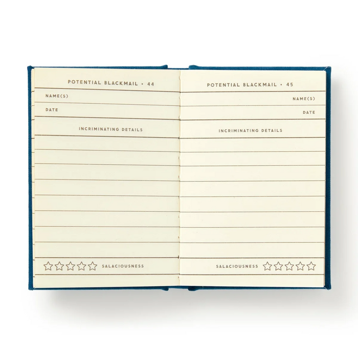 Future Blackmail Tiny Diary