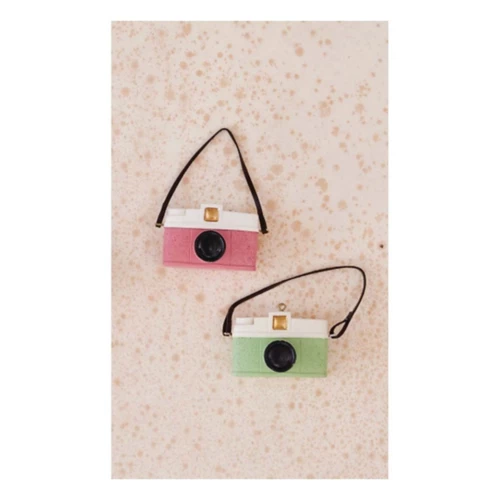 Resin Camera Ornament