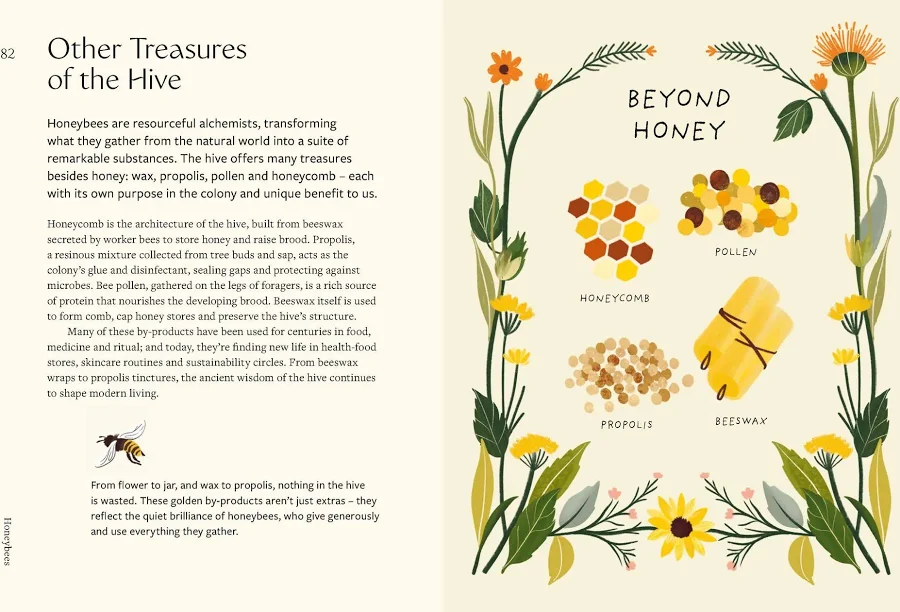 Honeybees: The Wonders of the Hive and How to Help Them Thrive