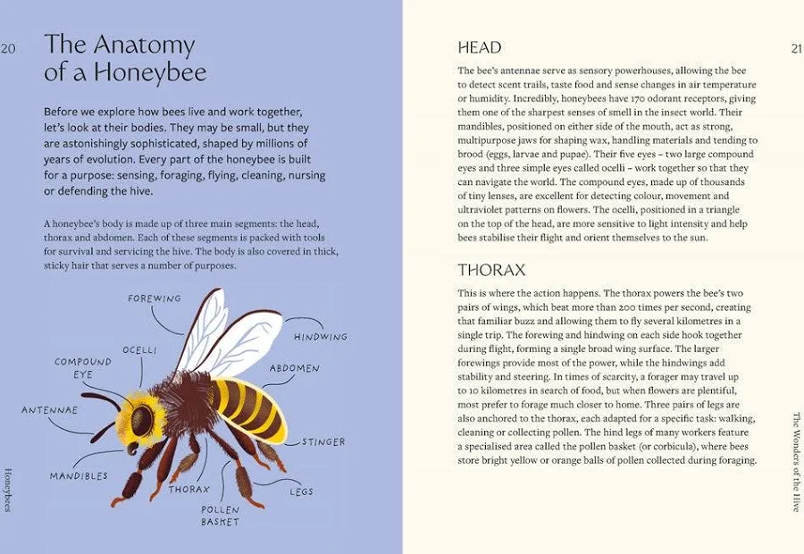 Honeybees: The Wonders of the Hive and How to Help Them Thrive