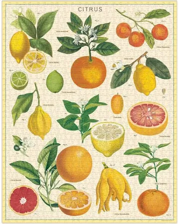 Citrus 1000 Piece Puzzle