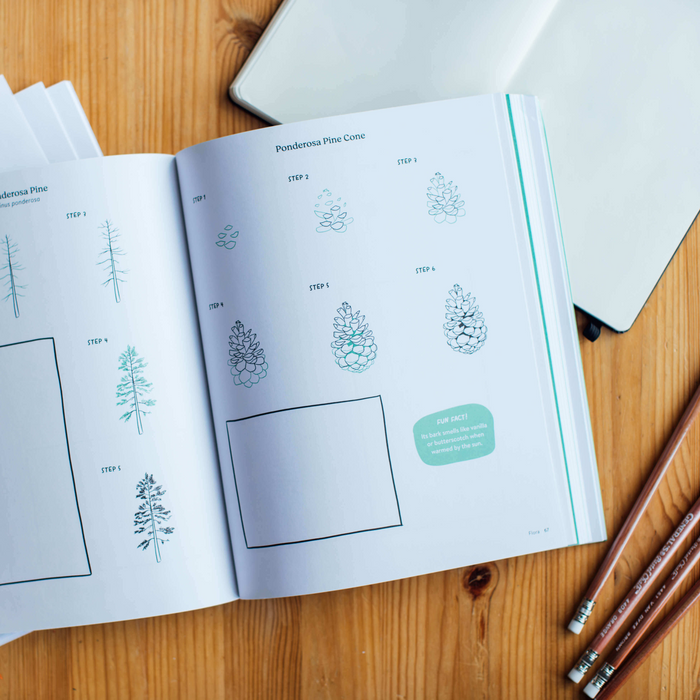 Pacific Northwest Line Drawing - by Peggy Dean (Paperback)