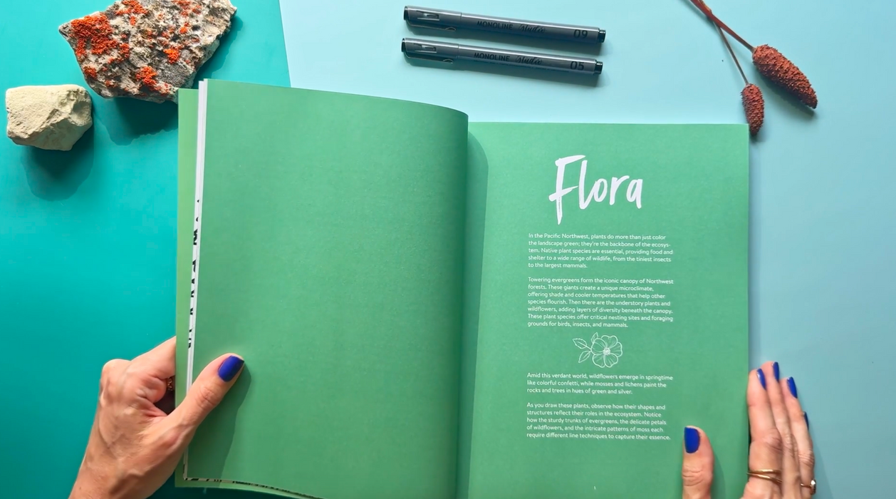 Pacific Northwest Line Drawing - by Peggy Dean (Paperback)