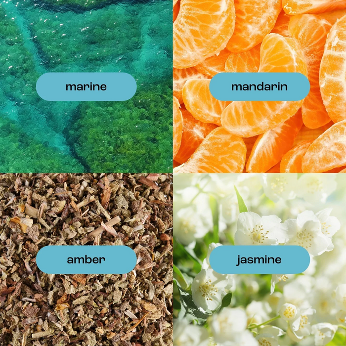 Sea Salt Citrus Body + Face Dry Oil