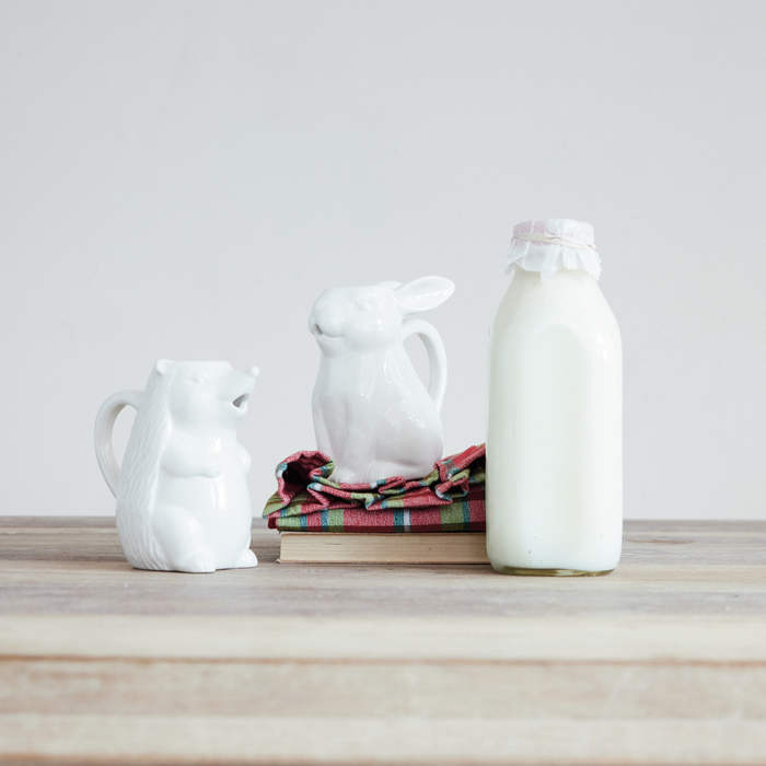 12 oz. Ceramic Hedgehog Shaped Creamer